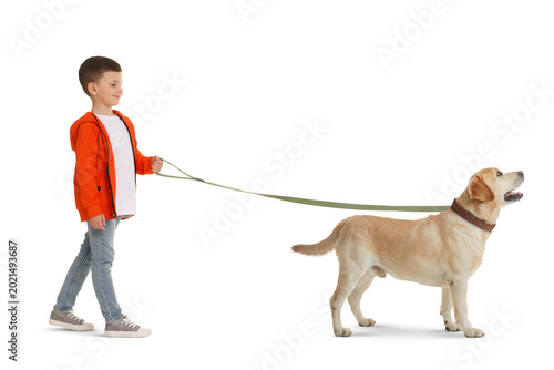 Fotografía Little boy walking his dog on white background