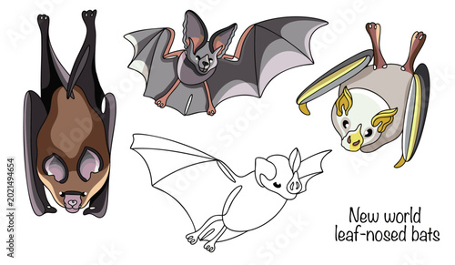 New world leaf-nosed bats