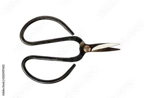 Old metal hand shears with curved spring handles isolated on transparent background. Vintage gardening tool for trimming plants, harvesting herbs, bonsai care, sewing, or craft use