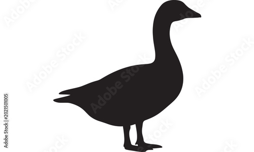 Fotografija Goose silhouette standing with long neck and webbed feet featuring bird, black,