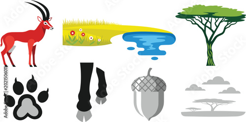 Photography Savanna Wildlife and Nature Icon Set Featuring Antelope, Tree, Acorn, Water Hole