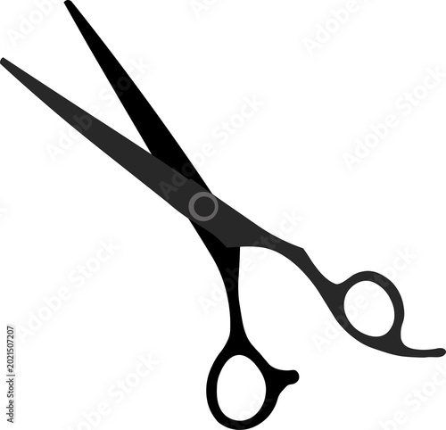 Professional Hair Cutting Scissors