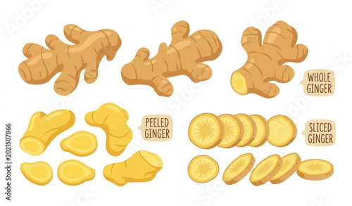 Foto Realistic ginger root botanical set sliced and whole herbal spice ingredient vec