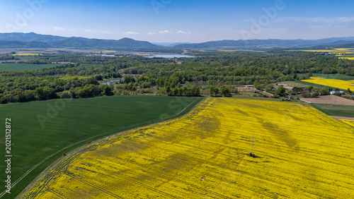Wide aerial drone panorama of agricultural fields, featuring bright yellow blooming rapeseed field contrasting with green cereal crops, distant green forest, ponds and Sudetes mountain range under blu