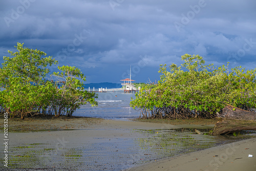 aan de kust bij Puerto Jimenez in Costa Rica