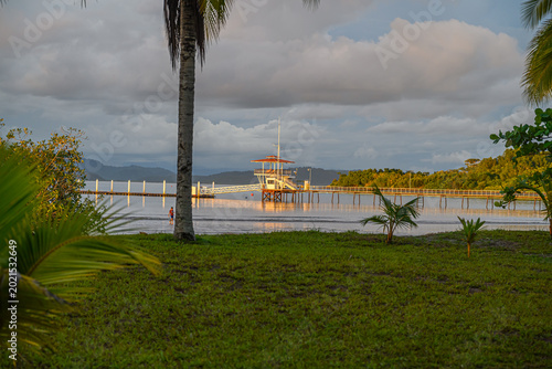 aan de kust bij Puerto Jimenez in Costa Rica