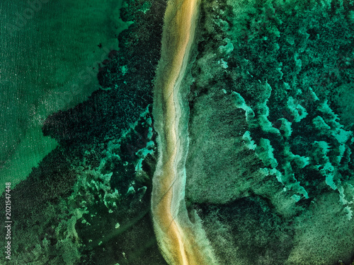 Aerial drone view of Lakdayan Sandbar near Coron Island, Philippines, featuring a curved tropical sandbar, turquoise coral reefs, crystal clear ocean water and a remote island landscape in Palawan.
