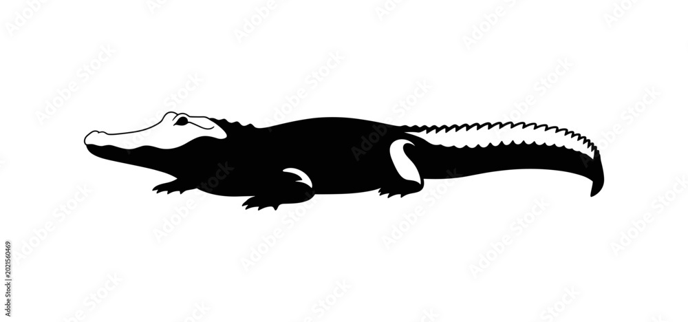 Fototapeta premium Alligator Silhouette Side View