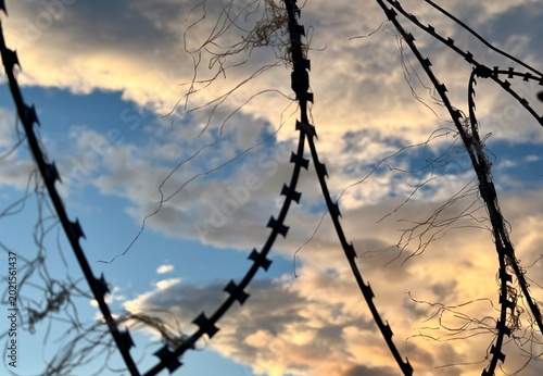 Canvas-taulu Coiled razor wire fence silhouette under a moody golden orange evening sky with thick clouds