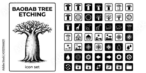 Obraz na płótnie Baobab Tree Etching Black White-Thick Trunk Sparse Crown-African Tree Vector-Bao