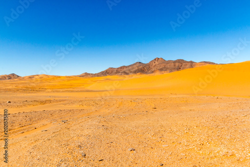 Fotografi The Sahara Desert