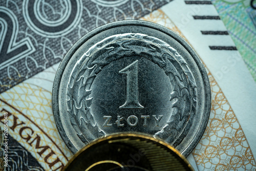 Canvas Print macro photography of a single polish zloty highlighting the intricate metallic d