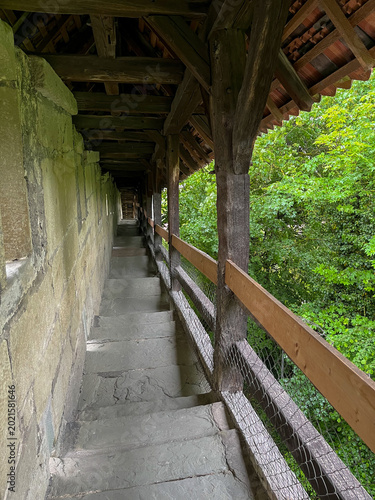 A serene stone walkway under a wooden canopy surrounded by fresh spring greenery.