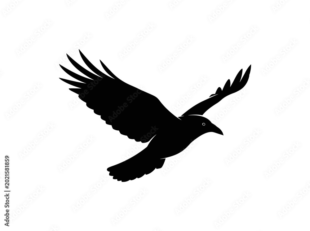 Fototapeta premium Silhouette of a Flying Bird