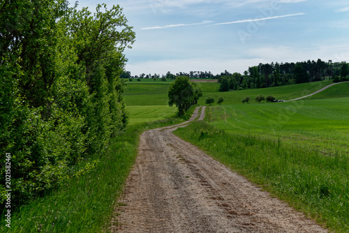Idyllic Rural Landscape and Green Fields in Dietersheim, Bavaria