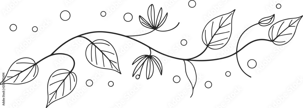 Fototapeta premium Black and white vine with leaves and circles plant