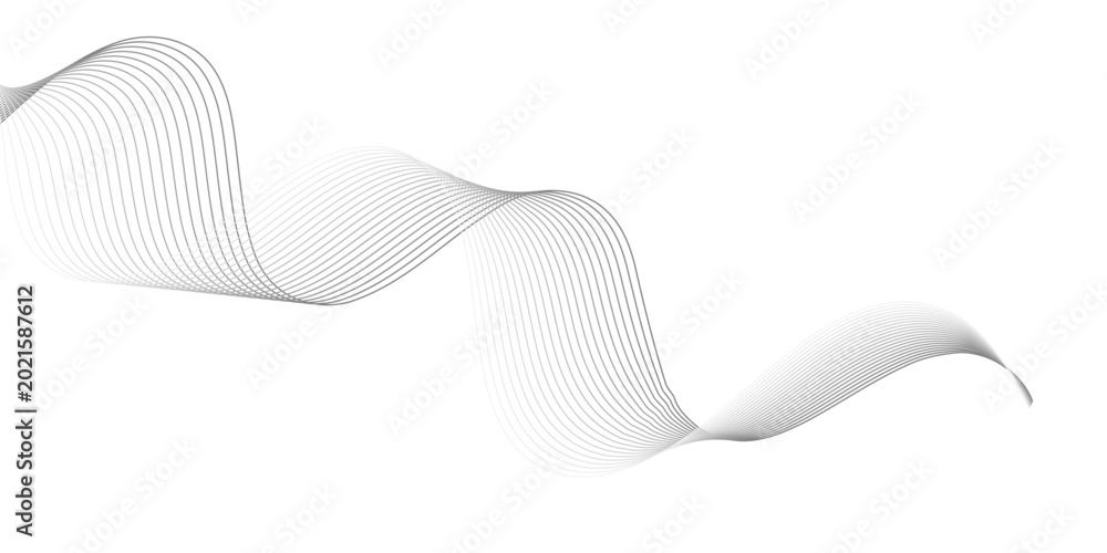 Fototapeta premium Flowing gray lines abstract wave on white background