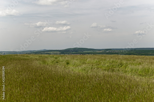 Idyllic Rural Landscape and Green Fields in Dietersheim, Bavaria