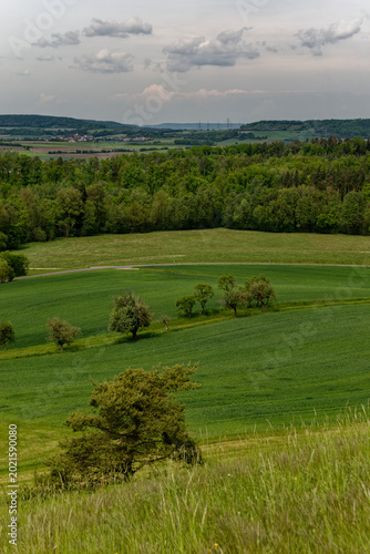 Idyllic Rural Landscape and Green Fields in Dietersheim, Bavaria