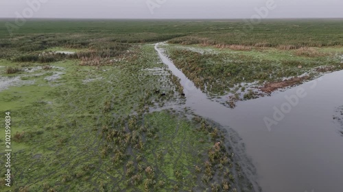 Hawizeh Marsh

Hawizeh Marsh seasonal wetland Iraq