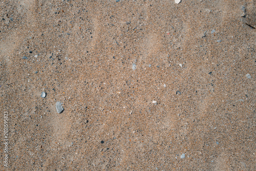 Dense Sand Texture with Fine Speckled Detail