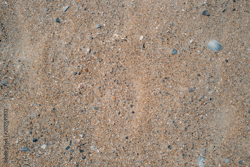 Granular Beach Surface with Mixed Sand and Small Stones