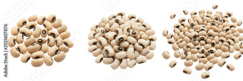 Slika na platnu Set and collection of heap of raw black-eyed peas isolated on white background