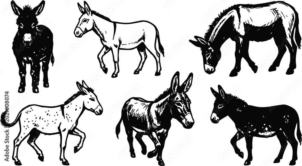 Fototapeta premium Black and white donkey sketches set six poses walking grazing standing vector art