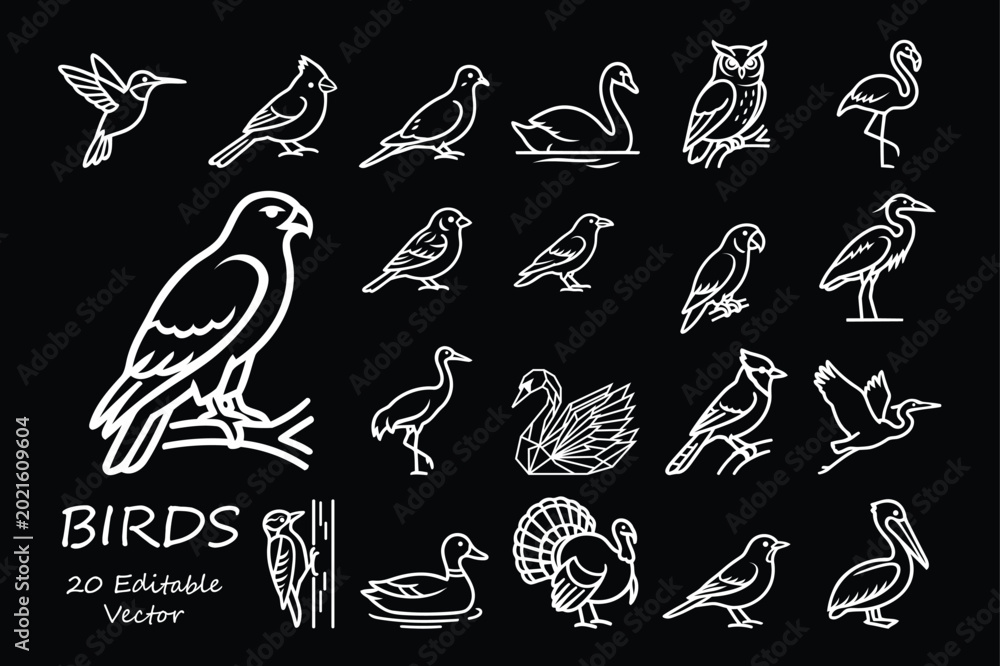 Fototapeta premium White bird line art icons on black background with eagle owl and flamingo silhouettes.
