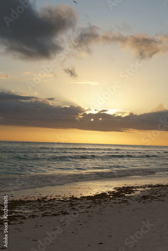 sunset, siesta key beach, sarasota, florida, evening, north america, april 2026, travelling, ocean, beach, nature, landscape, usa