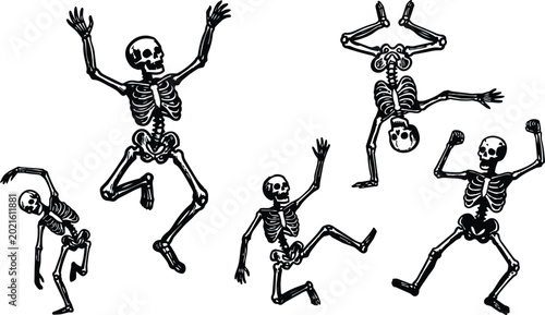 Vector art dancing skeletons five black and white comic line drawings energetic poses