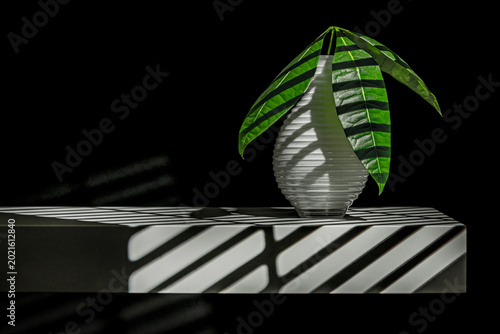 Obraz na płótnie Money plant with palmate leaves of five lanceolate leaflets, a trunk slightly bu