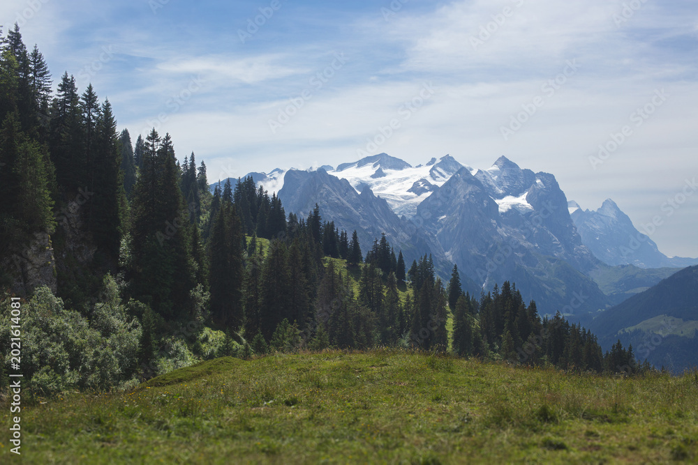 Fototapeta premium Snowy alpine peaks and pine forest in Switzerland