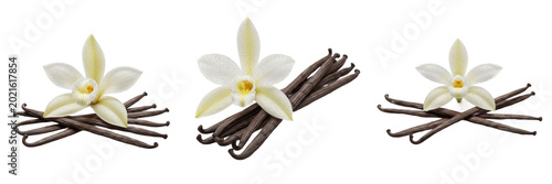 Foto 3D Render of Vanilla Orchid Flower with Sticks Pods Composition Isolated on Whit