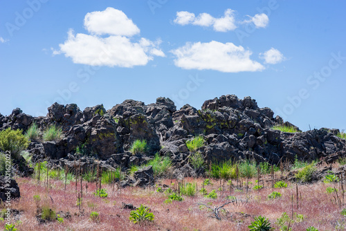Dry Sunny Hill In Lava Beds National Monument