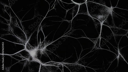 malbec. Abstract fungal mycelium network pattern with white filaments and organic branching on dark background. gardening catalogs, home-decor guides, designed for gardening and botanical catalogs.