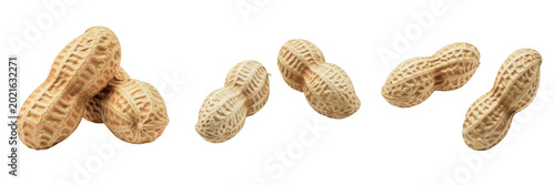 Tableau sur toile Raw peanuts in shell groundnuts premium PNG stock photo, realistic organic whole