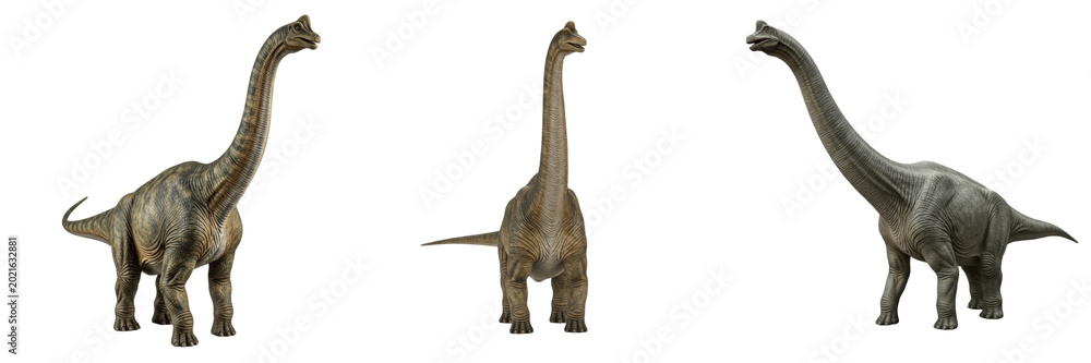 Fototapeta premium Brachiosaurus dinosaur prehistoric animal premium PNG stock photo, realistic sauropod long neck reptile extinct creature isolated on white background asset
