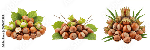 Photos Hazelnuts bunch with green leaves premium PNG stock photo, realistic organic raw