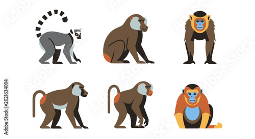 Canvas Print Flat Design Cartoon Monkeys and Lemur Set - Animal Collection