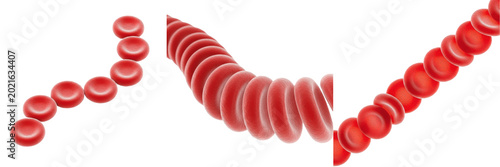Bild auf Leinwand Red blood cells stack flowing chain rouleaux formation set isolated on white bac