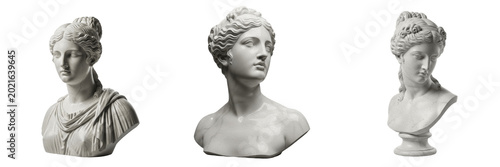фотографія Classic Marble Bust Statue of Venus Aphrodite Greek Roman Goddess Ancient Mythol