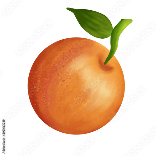 Canvas Print Digital illustration of an orange, flat design style