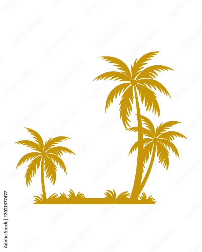Fototapeta premium palm tree on the beach