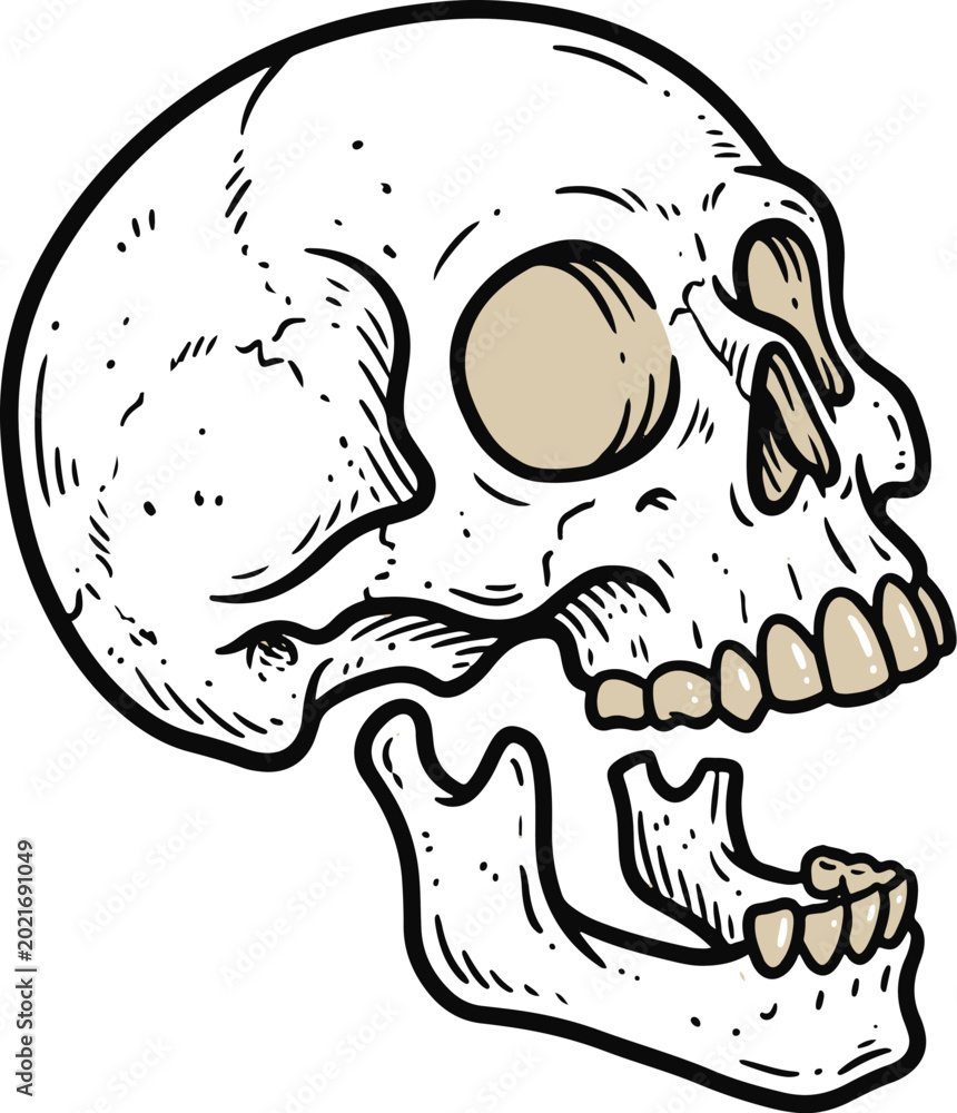 Fototapeta premium Open Mouth Skull