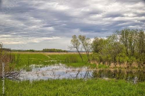 Foto Trees with early spring colors are reflected in a small pond beside flooded wetlands on a cloudy day in the wildlife refuge at Horicon Marsh, near Horicon, Wisconsin