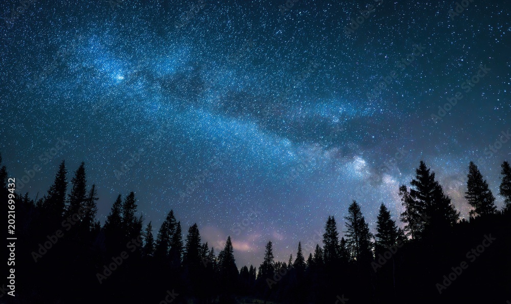 Obraz premium Starry sky with Milky Way over dark pine trees