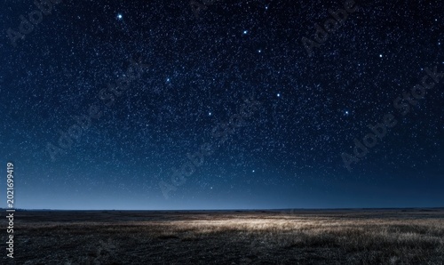 Nighttime landscape with dense starfield above flat grassy terrain