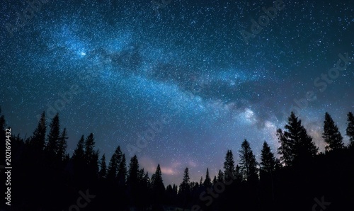 Starry sky with Milky Way over dark pine trees