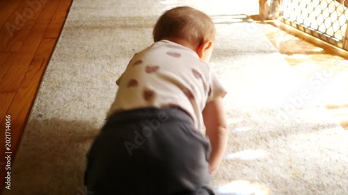 A Baby Crawls into Sunlight in Bright Living Room